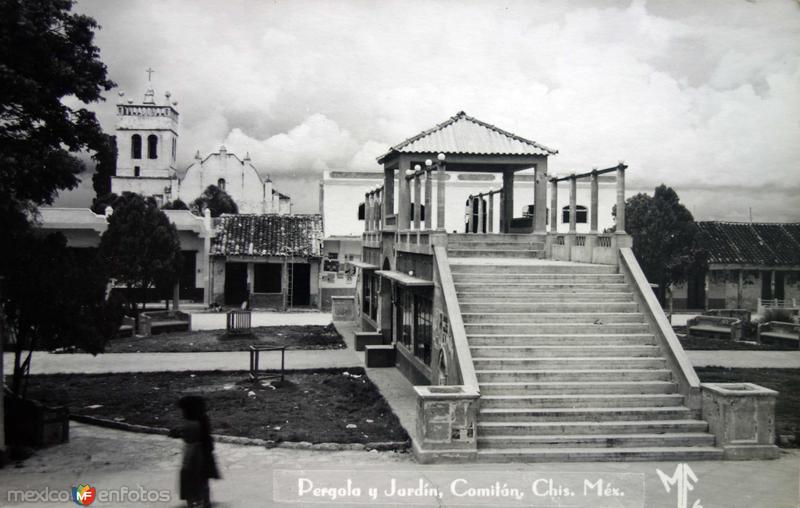 Pergola y Jardin