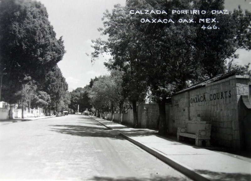 Avenida porfirio Diaz