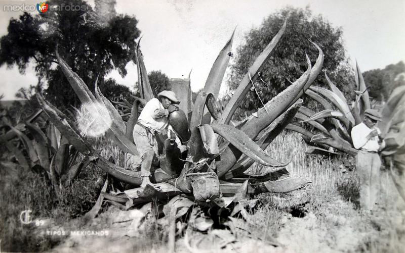 TIPOS MEXICANOS Un Tlachiquero