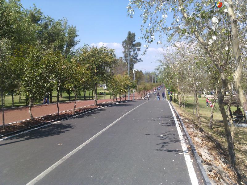 Ciclopista del Parque Ecológico Revolución Mexicana. Marzo/2016