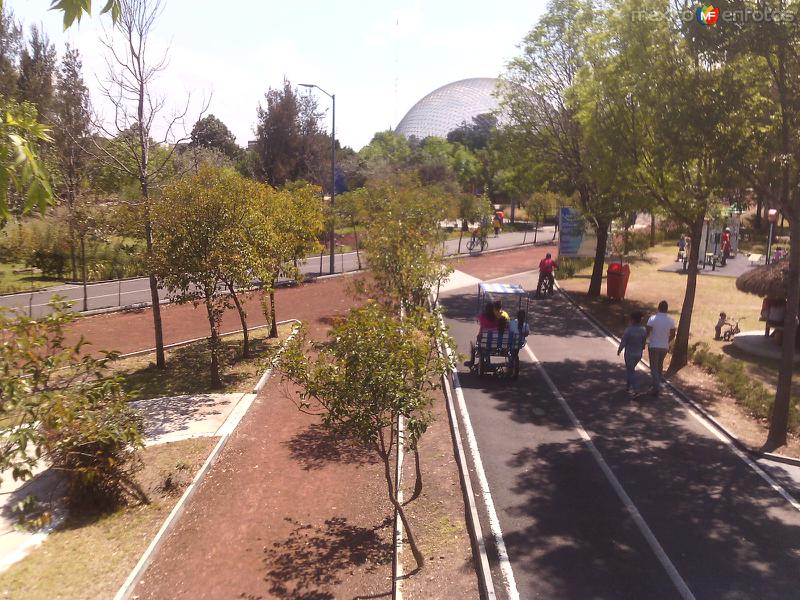 Aviario del Parque Ecológico Revolución Mexicana. Abril/2016