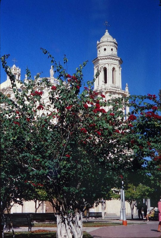 Catedral de Hermosillo ( 1969 )