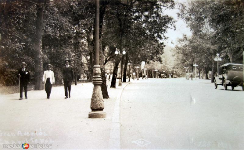 La gran Avenida en el bosque de Chapultepec
