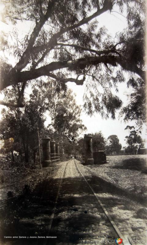 Camino entre Zamora y Jocona Zamora Michoacan.