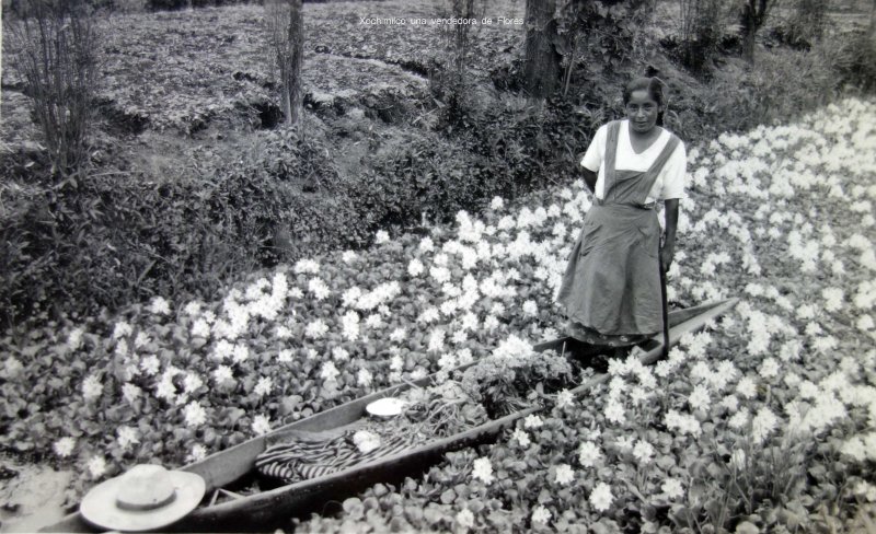 TIPOS MEXICANOS Xochimilco una vendedora de Flores