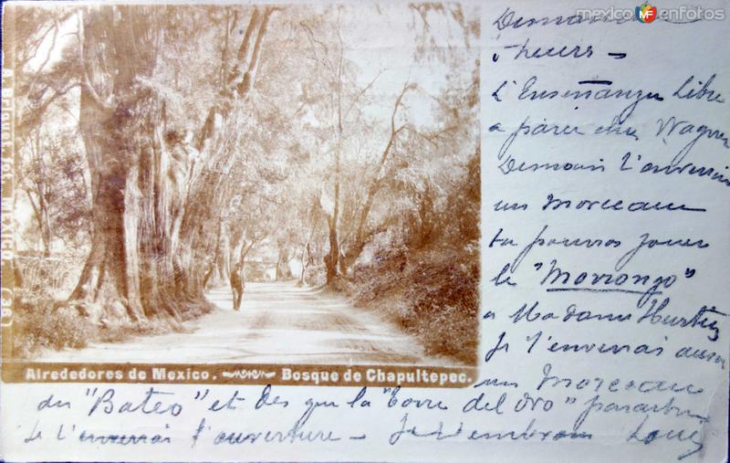 El Bosque de Chapultepec ( Fechada en Agosto de 1902 )