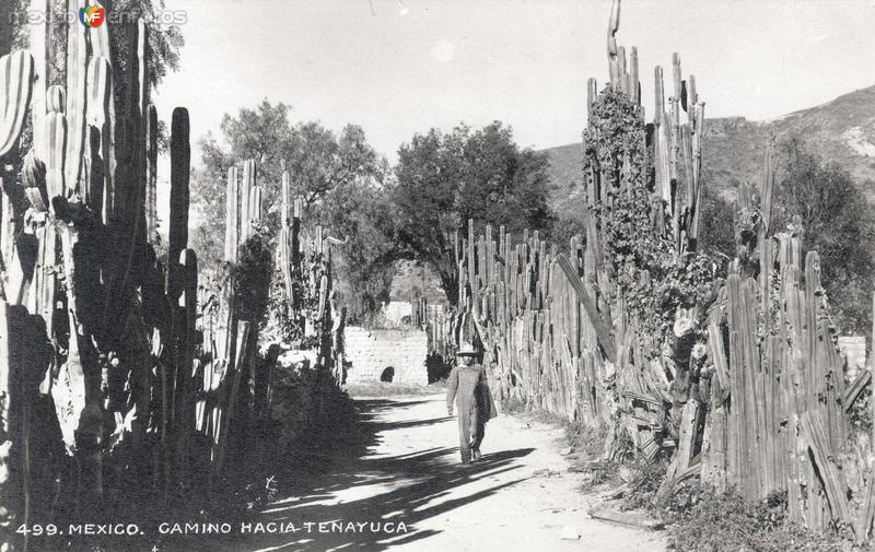 Camino a Tenayuca