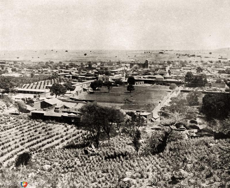 Vista Panorámica de Tequila