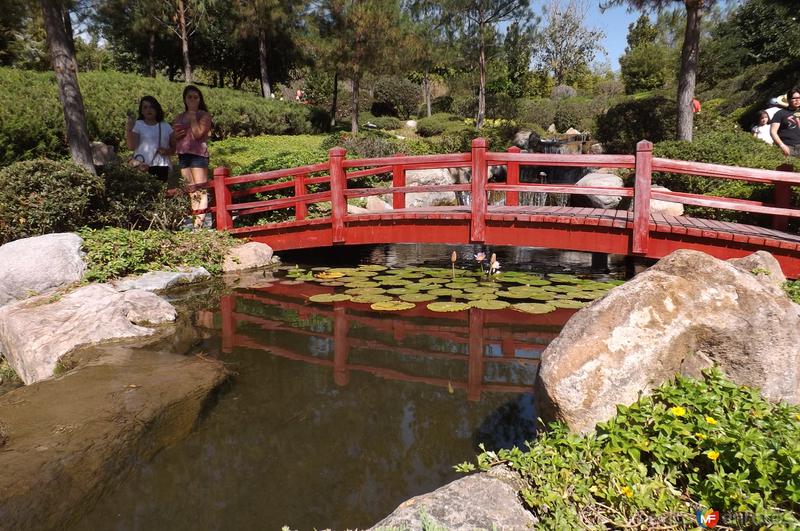 Puente del Jardín Japones. Noviembre/2016