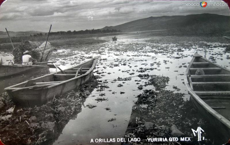 A Orillas del Lago