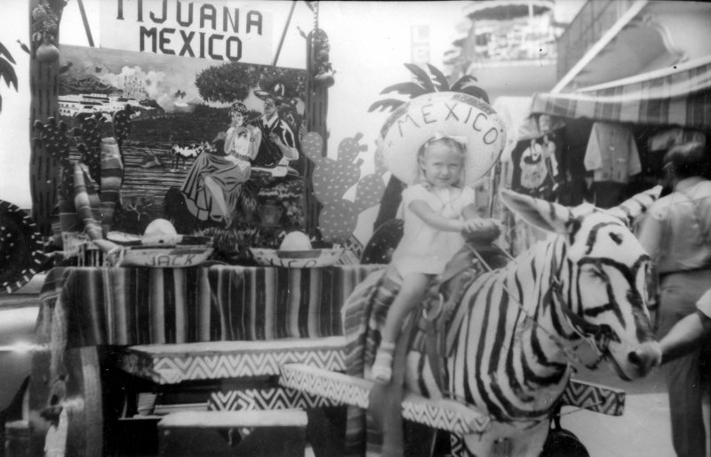 Niña en burro cebra