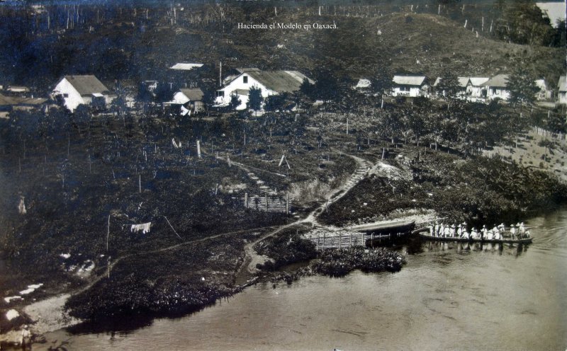 Hacienda el Modelo en Nogales Oaxaca ( Fechada el dia 8 de Dic. de 1908 ).