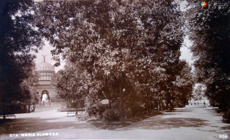 La Alameda de Sta. Maria la Ribera.