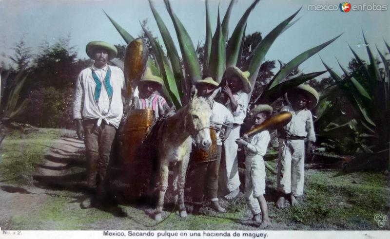 Tipos Mexicanos Sacando Pulque de una hacienda Por C Boullanger