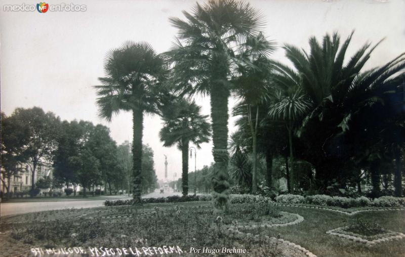 Paseo de La Reforma Por Hugo Brehme