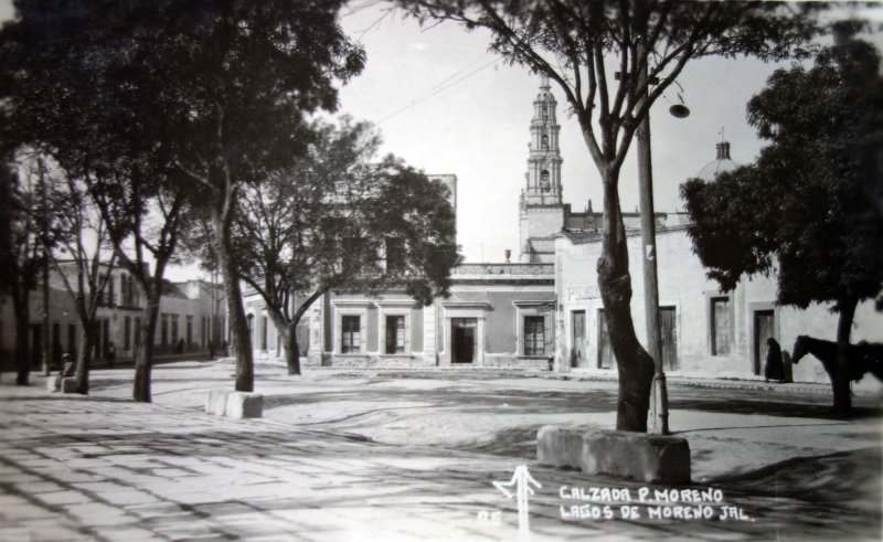 Calzada Pedro Moreno.