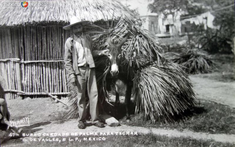 Tipos Mexicanos vendedor de palmas para techar.