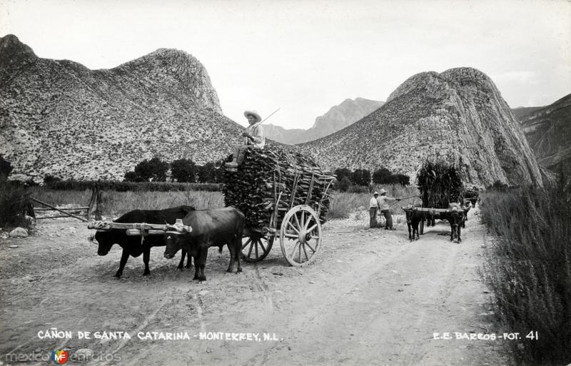 Cañón de Santa Catarina