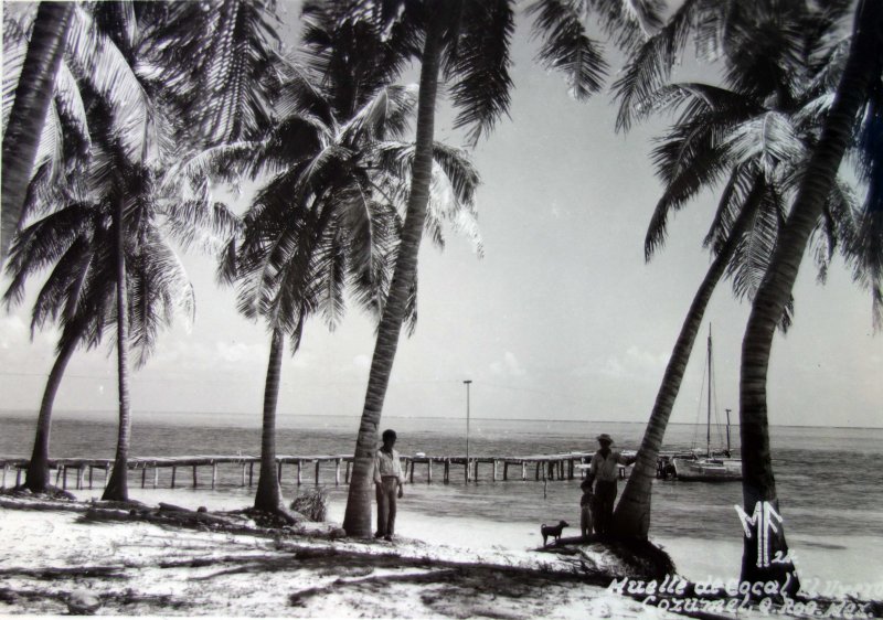 Muelle del Cocal.