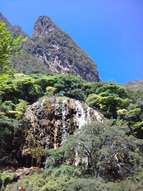 Cascada de agua fría en Tolantongo. Junio/2017