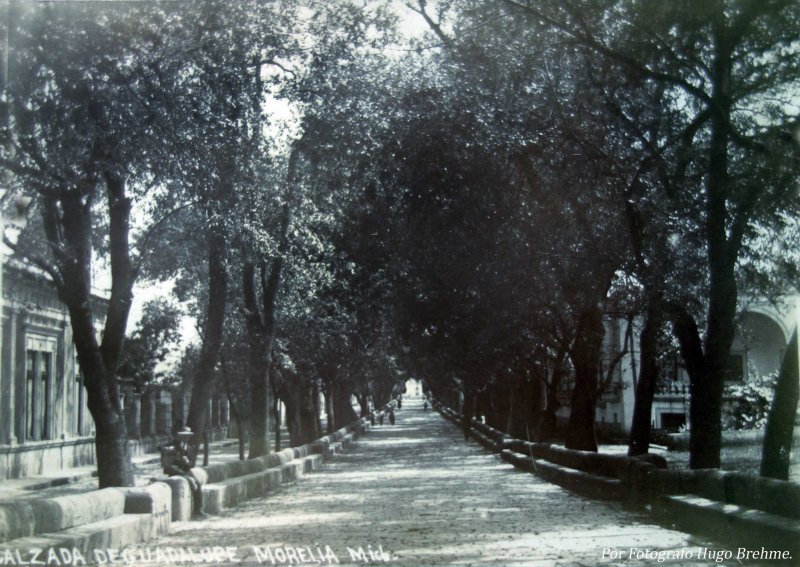 Calzada de Guadalupe por el Fotografo Hugo Brehme.