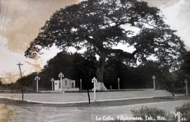 La Ceiba.