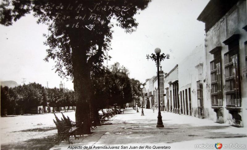 Aspecto de la Avenida Juarez San Juan del Rio Queretaro.