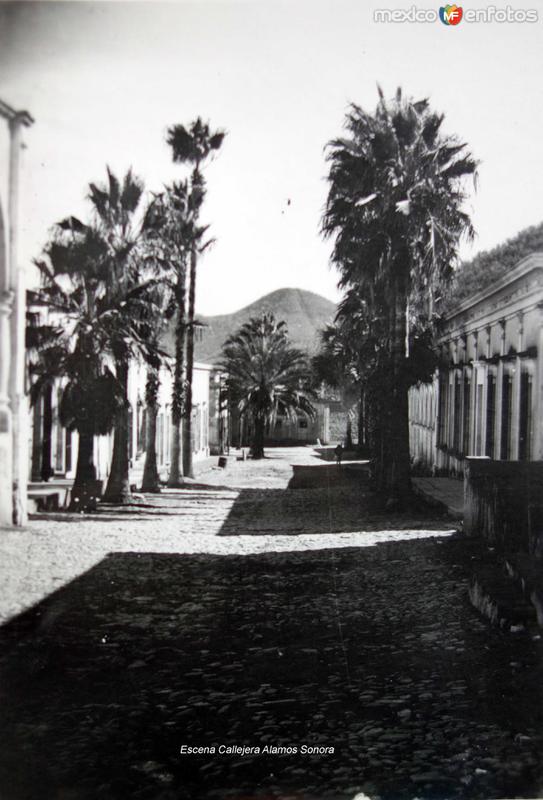 Escena Callejera Alamos Sonora.