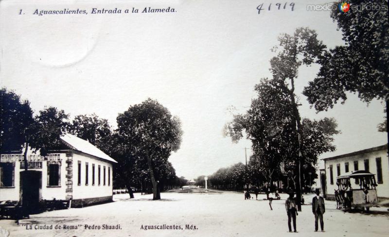 Entrada a a la Alameda ( Circulada el 1 de Agosto de 1919 ).