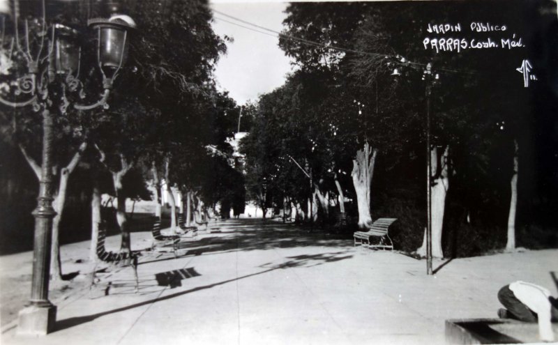 Jardin publico.