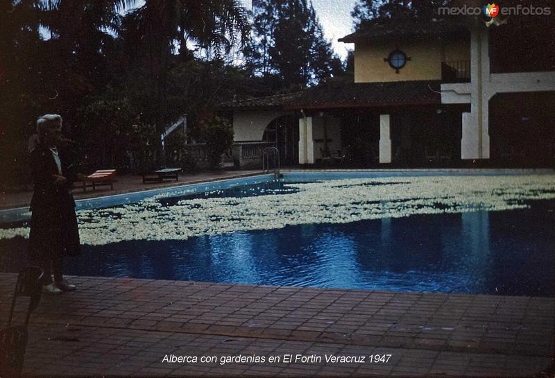 Alberca con gardenias en El Fortin Veracruz (c. 1953).