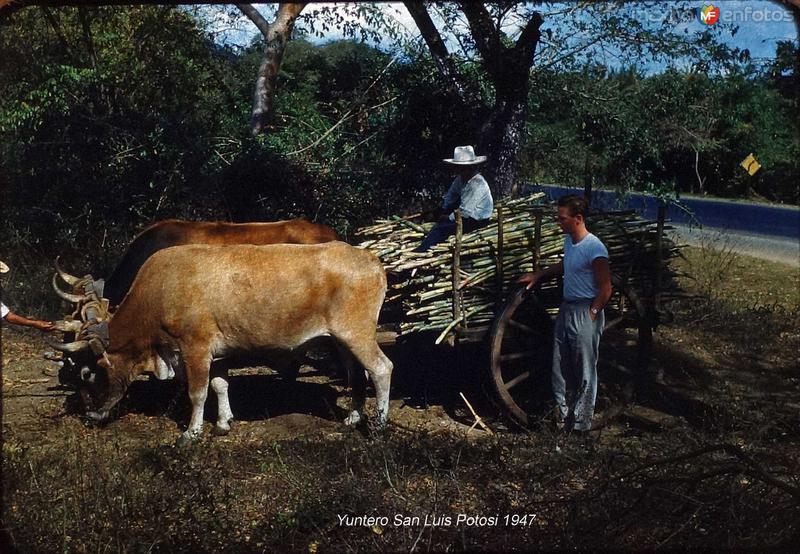 Tipos Mexicanos Yuntero San Luis Potosi (c. 1953).