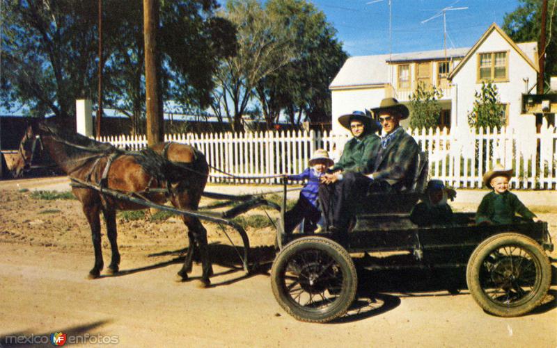 Coche típico donde viajan los colonos menonitas (II)