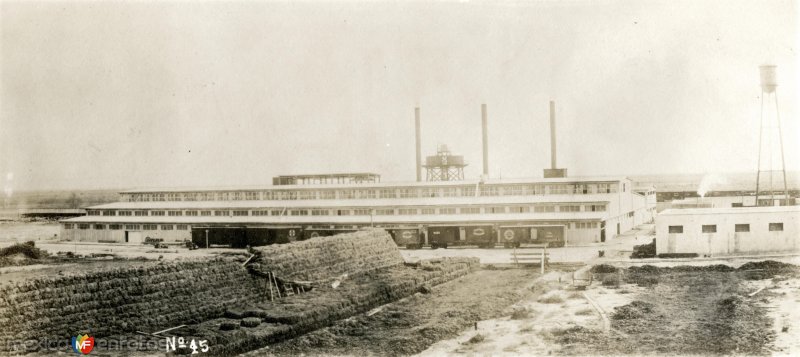 La fábrica de caucho de guayule más grande del mundo (1907)