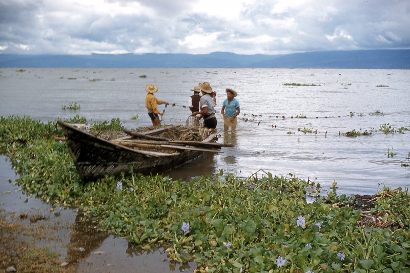 Pescadores en el Lago de Chapala (1958)