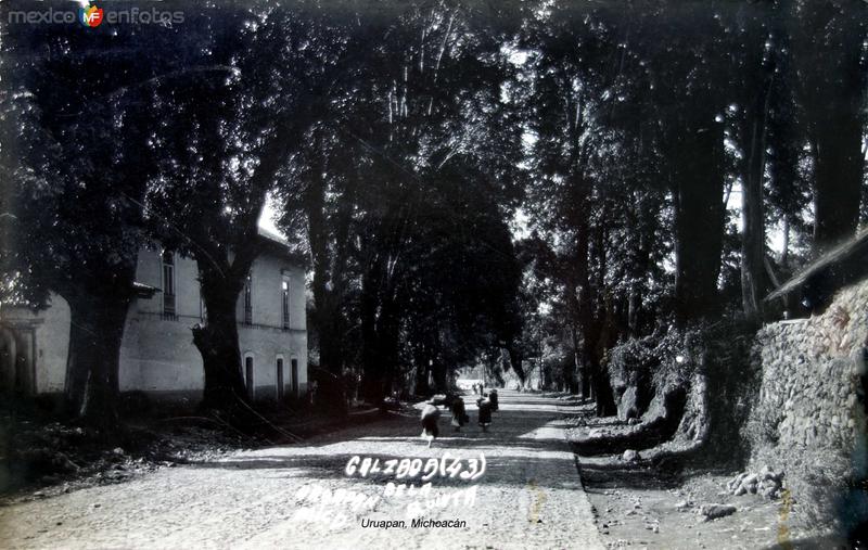 Calzada de La Quinta.