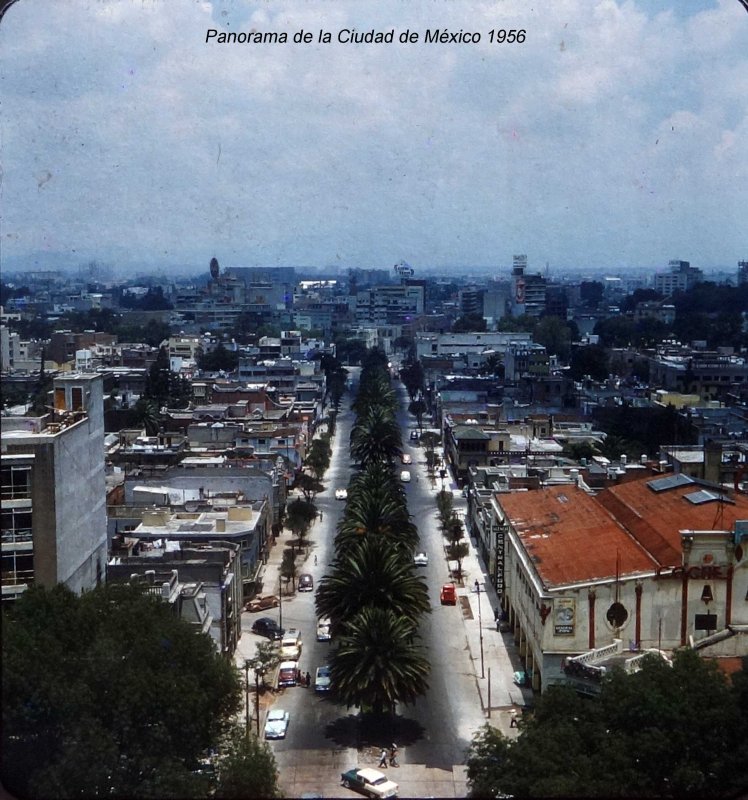 Vista panorámica desde el Ángel de la Independencia, hacia la Calle de Florencia (1956)