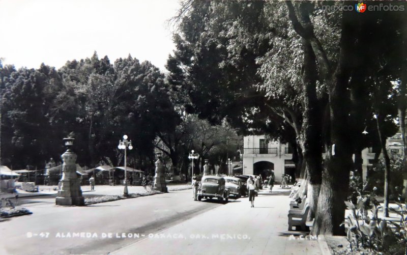 La Alameda de Leon.