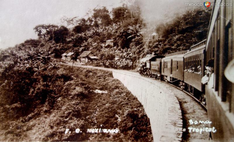 Zona tropical del Ferrocarril Central Mexicano.