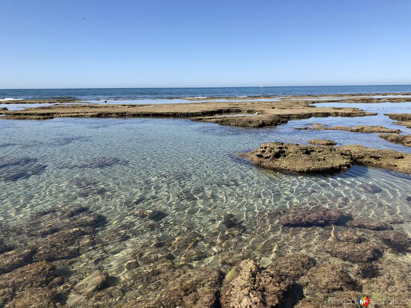 Marea Baja