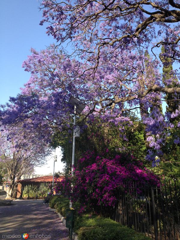 Parque paseo de las Artesanías. Abril/2018