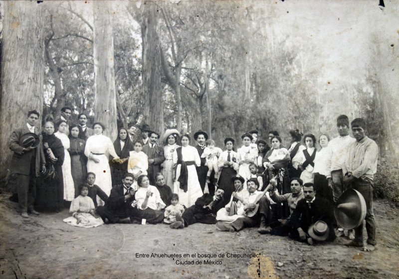 Entre Ahuehuetes en el bosque de Chapultepec. Ciudad de México.