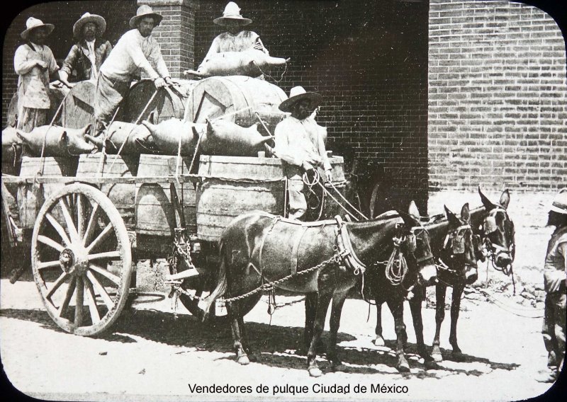 Tipos Mexicanos Vendedores de pulque Ciudad de México.