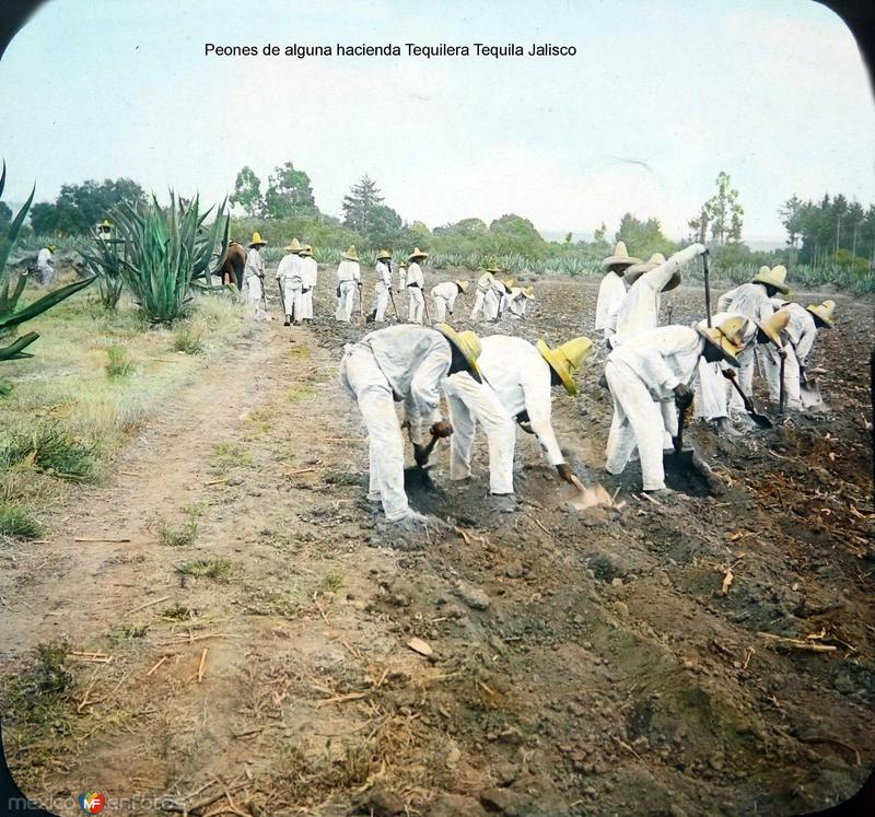 Peones de alguna hacienda Tequilera Tequila Jalisco.