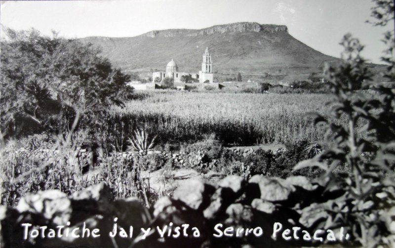 Vista desde el Cerro Petacal.