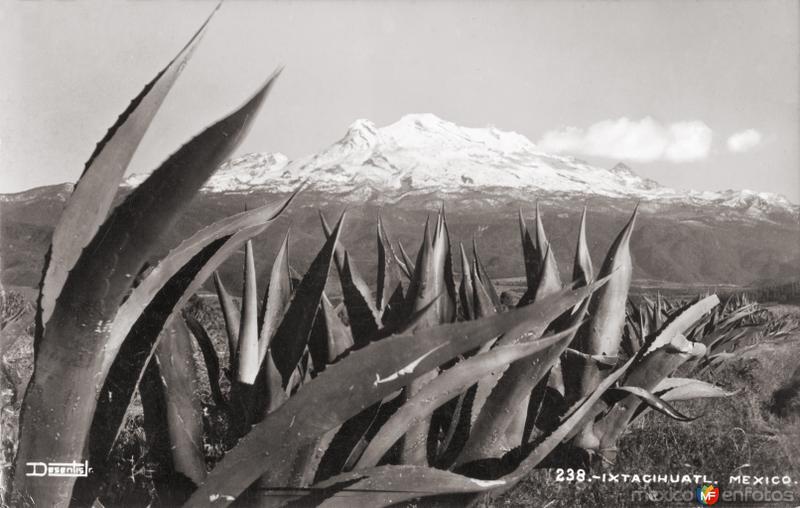 Volcán Iztaccíhuatl, con magueyes