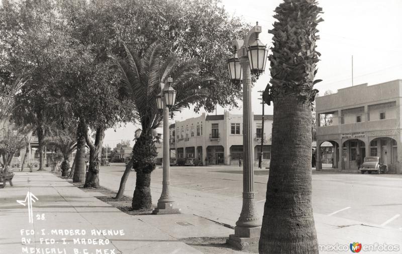 Avenida Francisco I. Madero