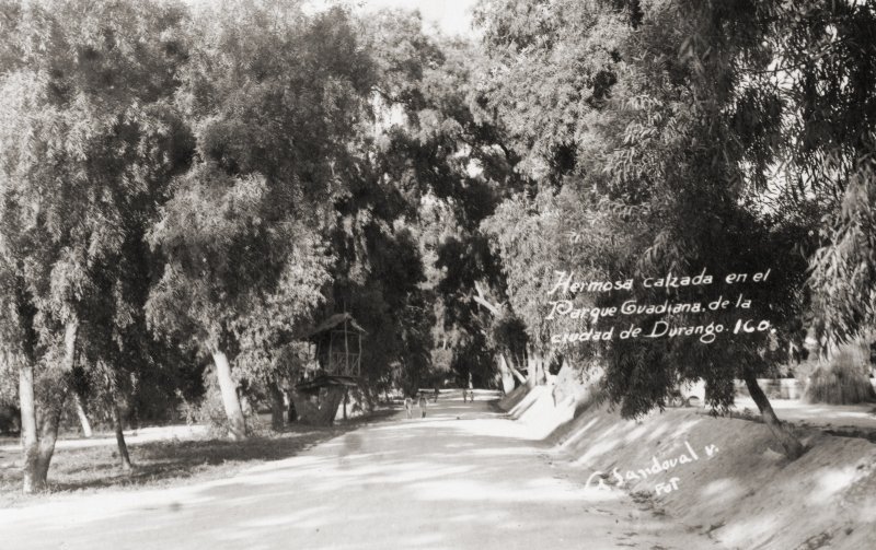 Calzada en el Parque Guadiana