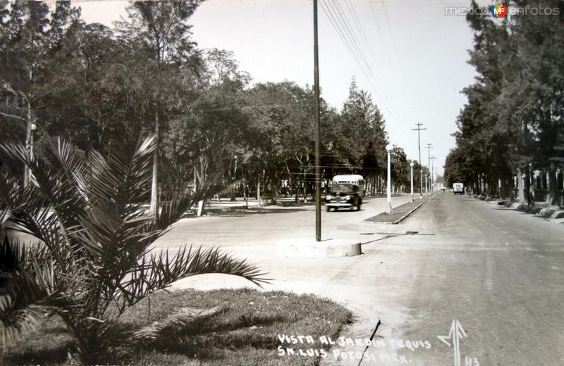 Vista al Jardin Tequis.