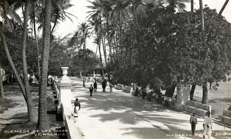 Alameda de los Cocos (1914)